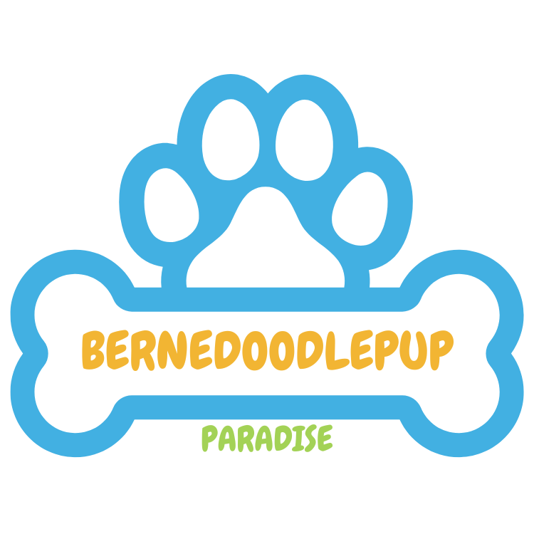 logo-bernedoodlepup~paradise
